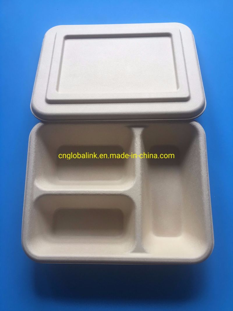 Biodegradable Sugarcane Bagasse Pulp Paper Food Packaging Container Wooden Bamboo Pulp Paper Food Packaging Container Box 1000ml Takeawy Box