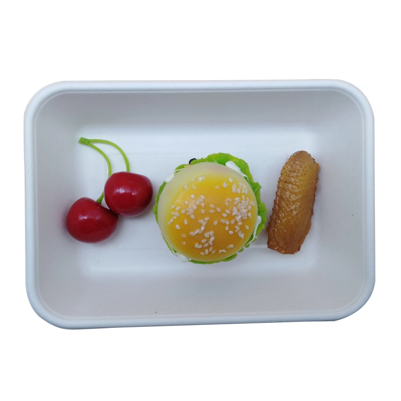 Sugarcane Container Disposable Packaging Bagasse Pulp Trays with Lid