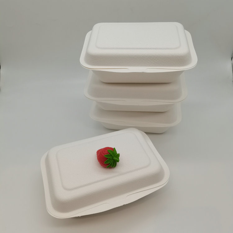 Hot Sale 600ml Sugarcane Bagasse Clamshell Box