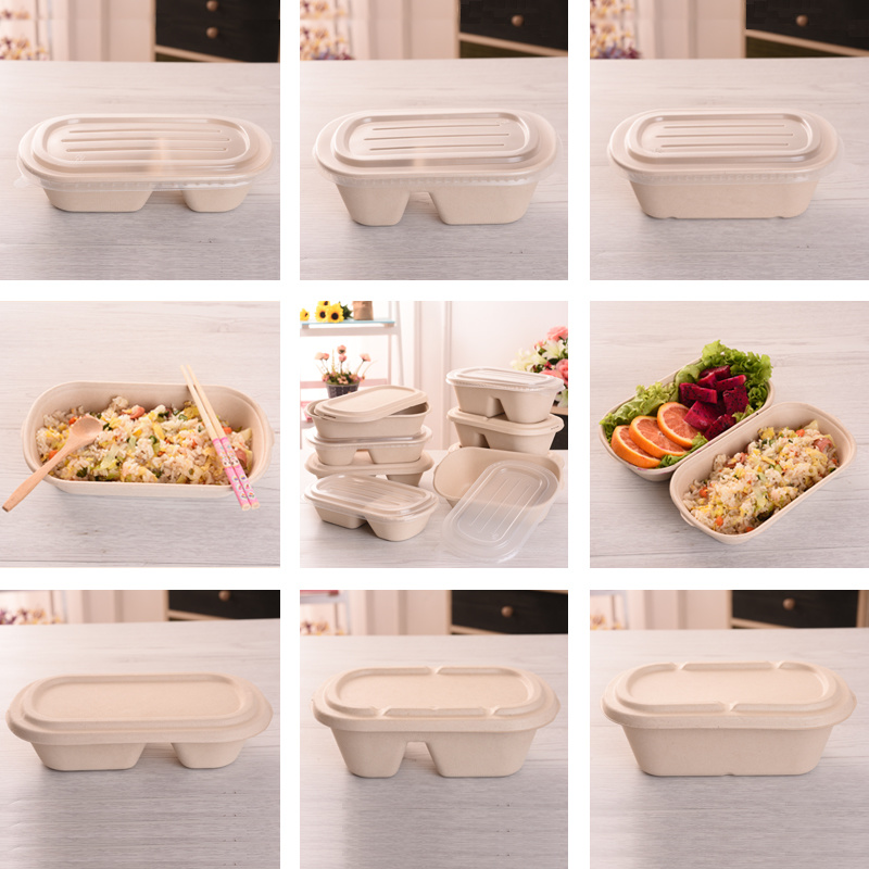 Disposable Biodegradable Eco Sugarcane Bagasse Paper Food Container Tray with Lid