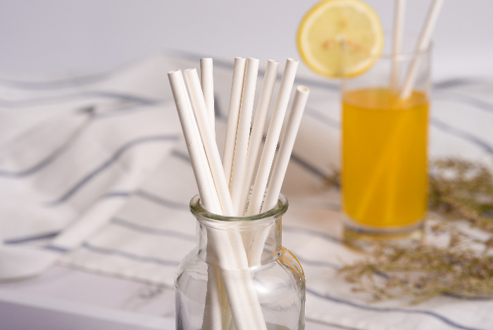 Party Supplies Disposable Products Unique Eco Individually Wrapped Paper Straws