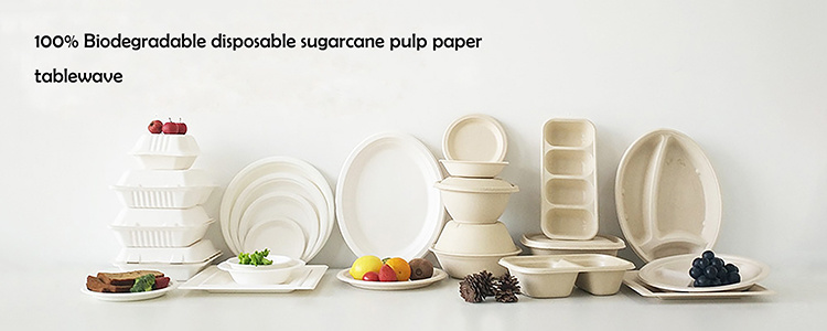 Biodegradable Sugarcane Pulp Microwave Disposable Paper Food Container