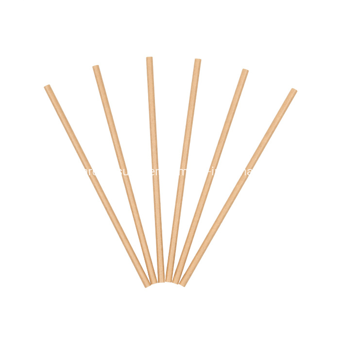 Eco Products Biodegradable Kraft Design Paper Straws for Cocktail 5.75"