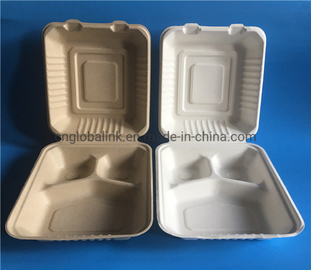 Bagasse 8 Inch Food Packing Container 3 Cells Fast Food Container