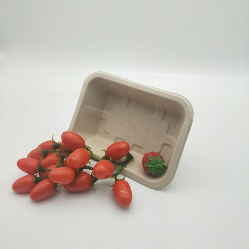 Biodegradable Sugarcane Bagasse Food Tray Food Plate BBQ Tray