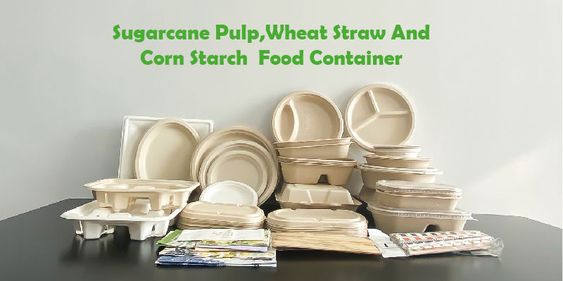 Disposable Custom Wheat Straw Pulp Friendly Food Container