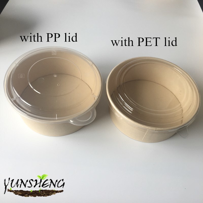 Biodegradable Customized Paper Soup Bowl/Salad Bowl for Party or Dinner