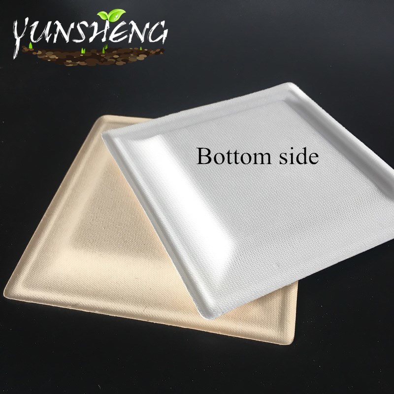 Biodegradable Disposable Sugarcane Bagasse Paper Square Plate