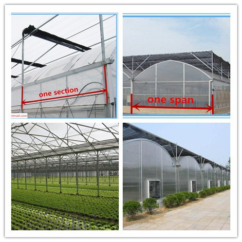 Low Cost Single Span Greenhouse with Plastic Film
