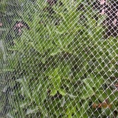Plastic Net / Plastic Flat Net / Plastic Fencing Net