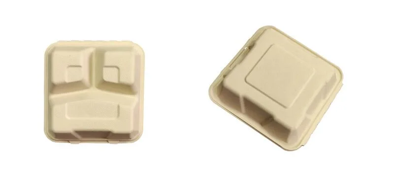Box Bagasse Disposable Sugarcane Pulp Lunch Box Biodegradable Bagasse Plate Tray Food Container