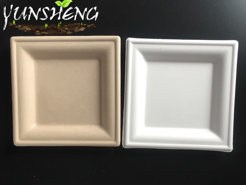 Biodegradable Disposable Sugarcane Bagasse Paper Square Plate