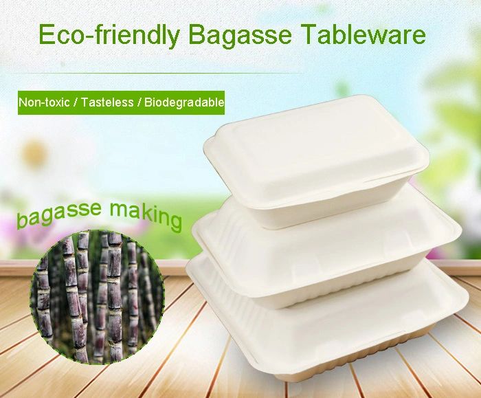 Sugarcane Container Disposable Packaging Bagasse Pulp Trays with Lid