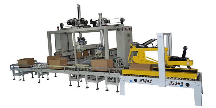 Automatic Box Packing Machine for Food Bag