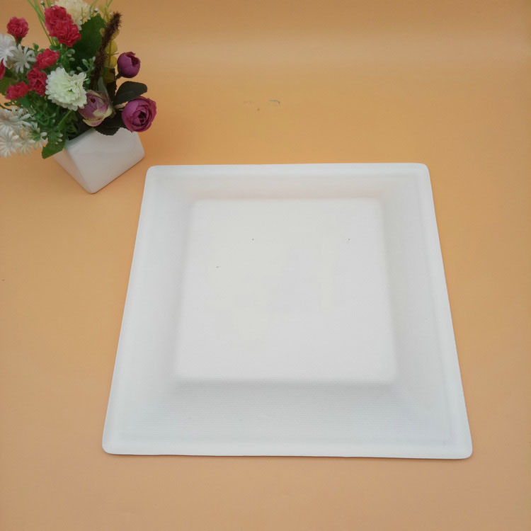 Sugarcane Bagasse Biodegradable Cake Square Plates for Cakes