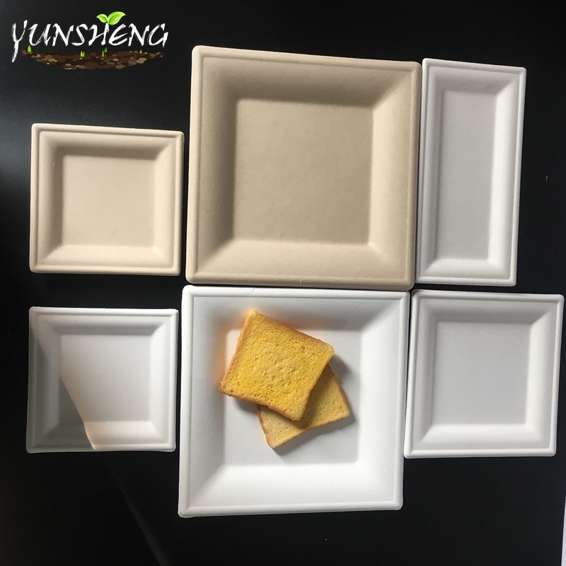 Biodegradable Disposable Sugarcane Bagasse Paper Square Plate