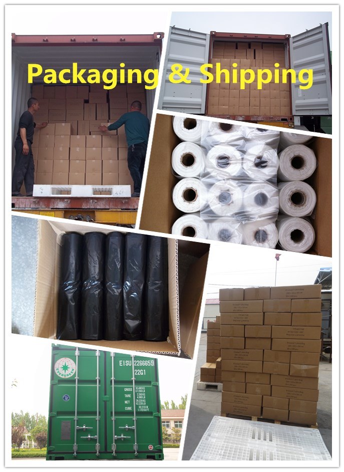 LDPE HDPE PE PLA Pbat Biodegradable Compostable Plastic Food Packing Transparent Plastic Food Storage Bag on Roll