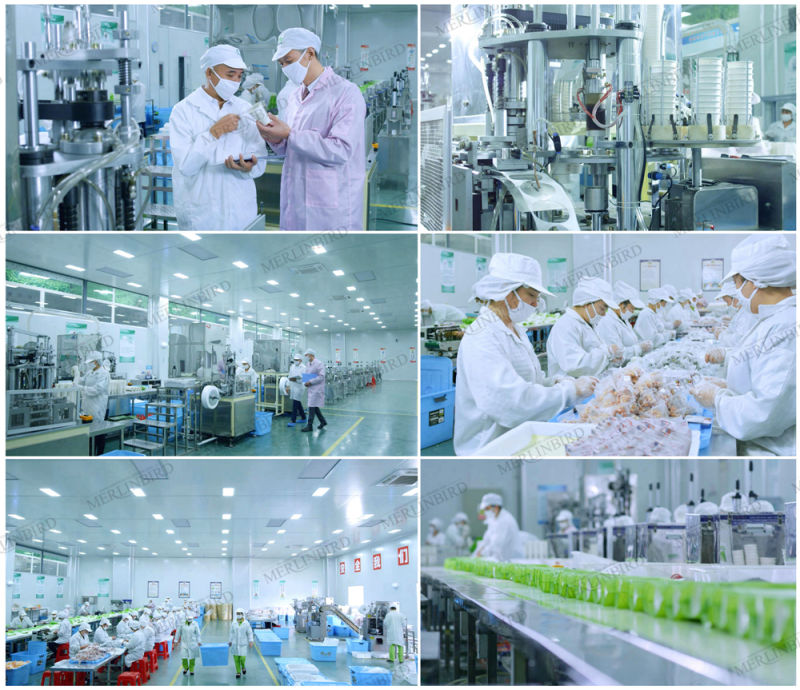 Biodegradable Corn Fiber Empty Tea Bag Manufacturer in China