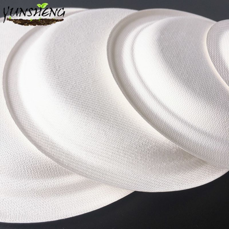 Disposable White Sugarcane Bagasse Pulp Paper Round Plates