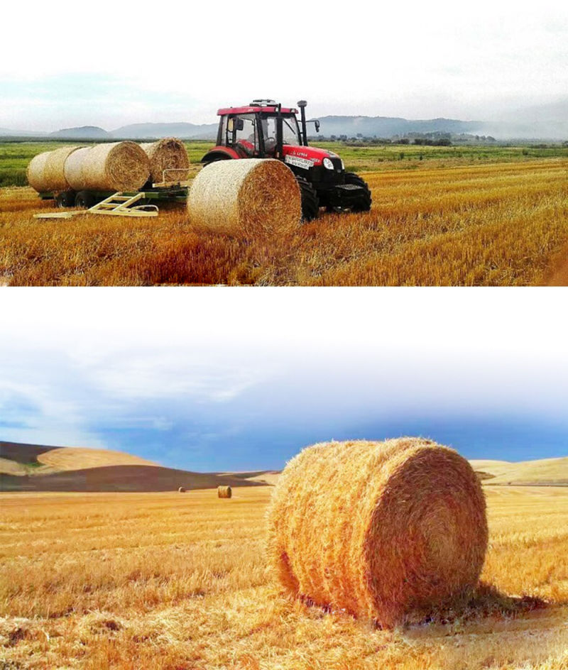 Biodegradable Agriculture Round Hay Bale Plastic Net Wrap