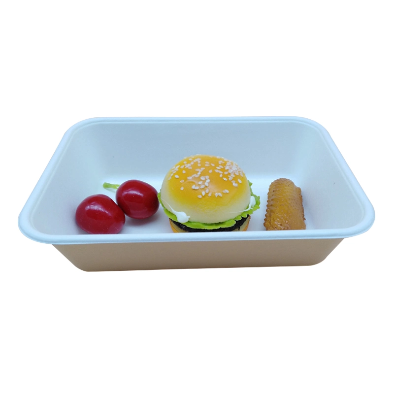 Sugarcane Container Disposable Packaging Bagasse Pulp Trays with Lid