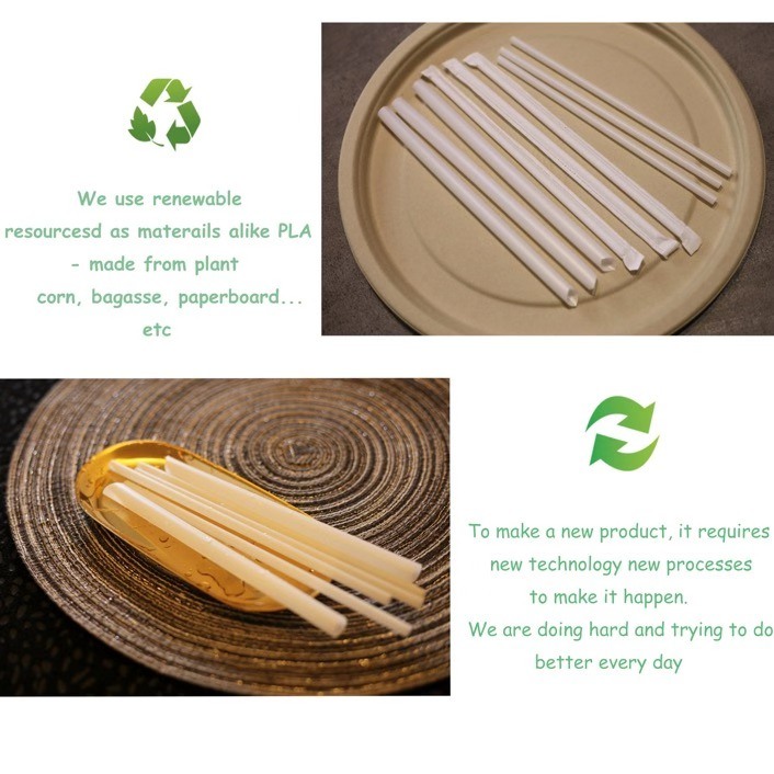 Eco-Friendly Biodegradable 100% PLA Drinking Straws