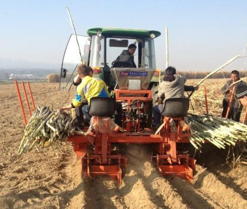 Anon Tractor Mounted 2 Rows Sugarcane Planter Sugarcane Planting Machine