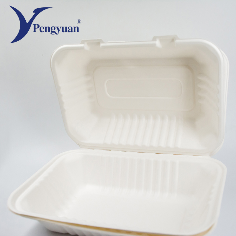 Sugarcane Pulp Bagasse Container Customized Food Container Lunch Box