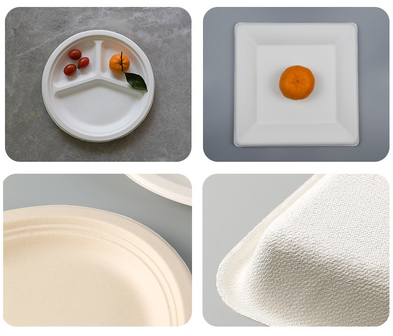 Disposable Compostable Biodegradable Tableware Sugarcane Bagasse 3 Compartment Plate