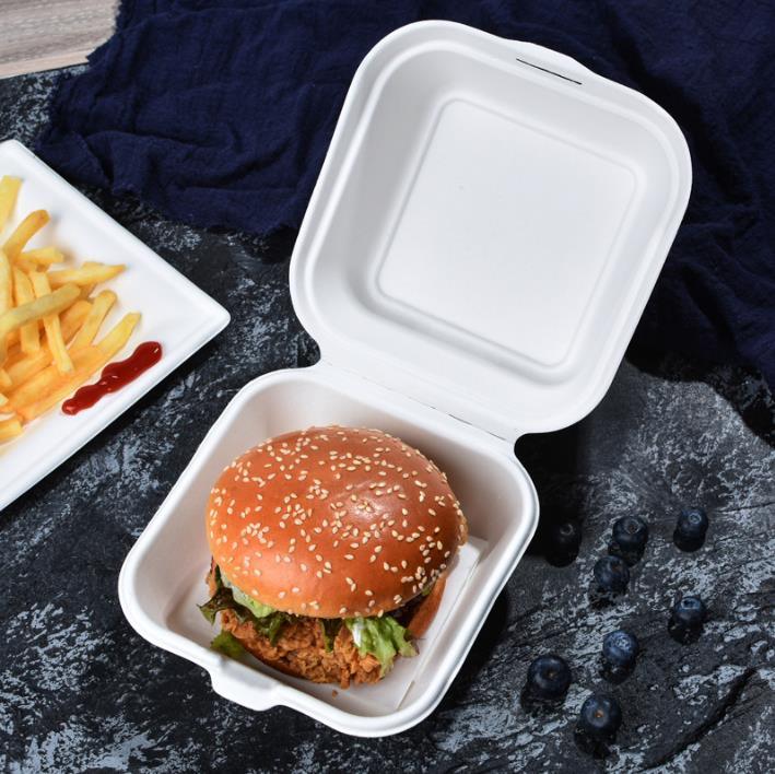 Hot Sale Eco-Friendly Biodegradable Sugarcane Bagasse Food Container