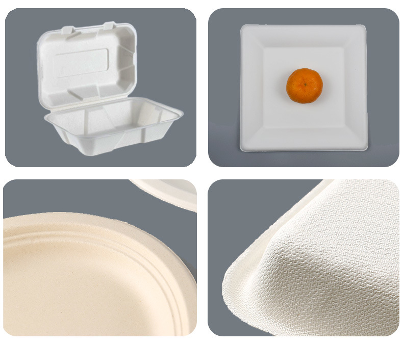 Disposable Biodegradable Bagasse Sugarcane Food Container Clamshell Box