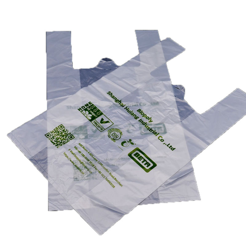 Custom Design Logo Printing Biodegradable Plastic Shopping Bag