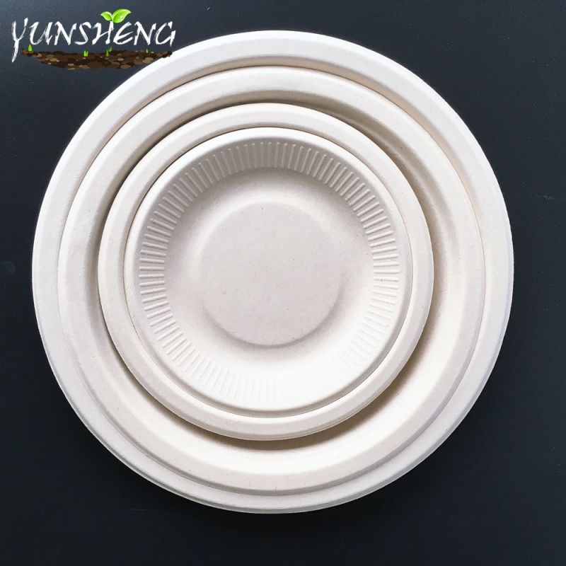 Disposable White Sugarcane Bagasse Pulp Paper Round Plates