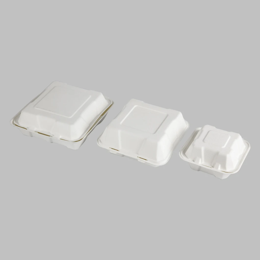 600ml Biodegradable Disposable Food Container Sugarcane Bagasse Packing Box Eco Friendly Tableware Take Away Container