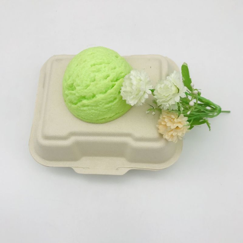 Biodegradable Compostable Sugarcane Bagasse Food Containers Box