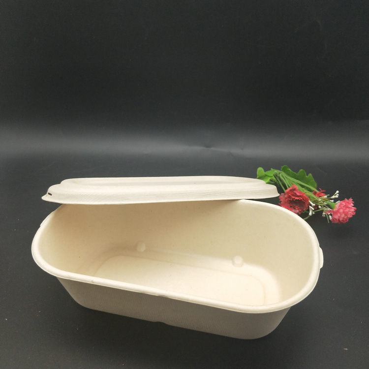 Sugarcane Bagasse Pulp Food Takeout Containers