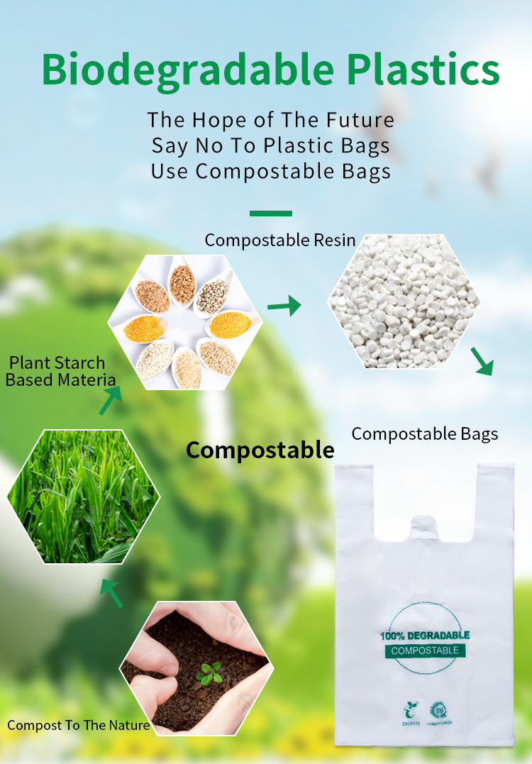 Biodegradable and Compostable Plastic Bag Bpi En13432 Certified