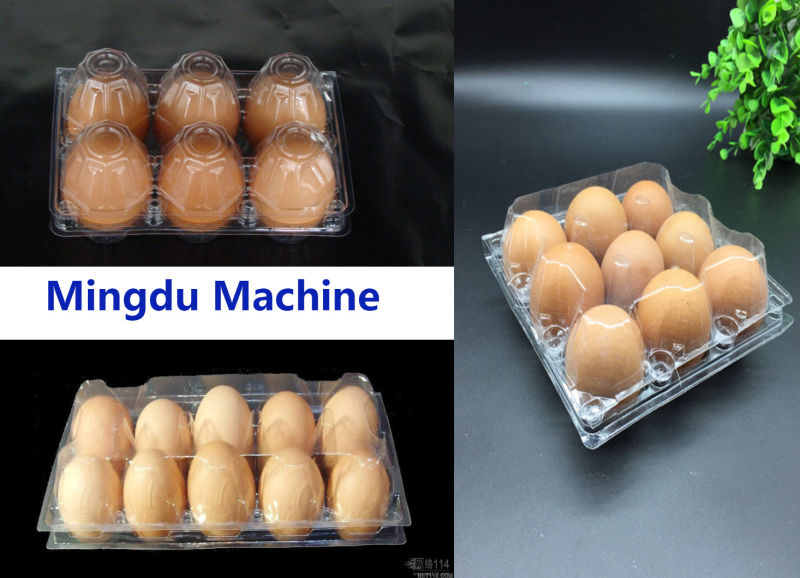 Plastic Egg Tray Making Machine (model-500)