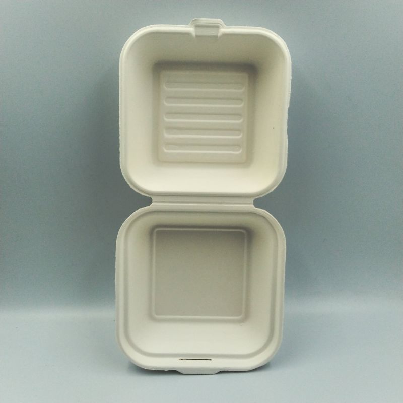 Shine Peak Biodegradable Bagasse Sugarcane Hamburger Boxes