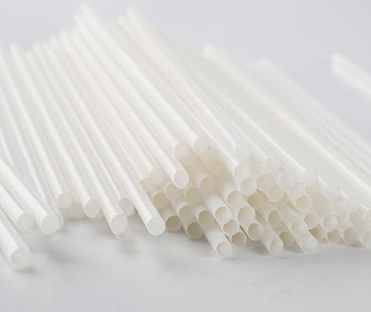 Straw Biodegradable Straws Eco-Friendly 100% Compostable PLA Spoon Straw