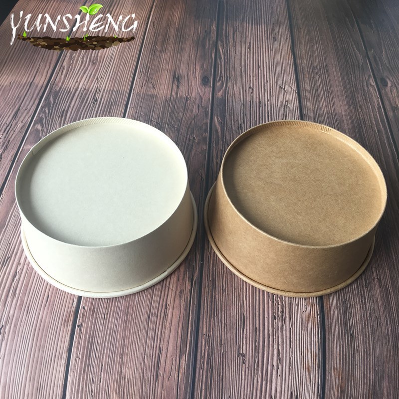 Biodegradable Customized Paper Soup Bowl/Salad Bowl for Party or Dinner