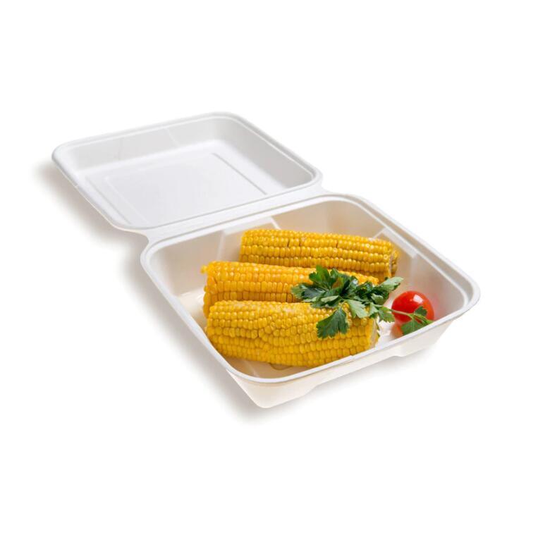 Sugarcane/Bagasse Biodegradable and Compostable Take out Box 8 Inches 9 Inches