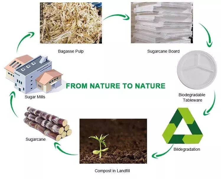 New Design Biodegradable Sugarcane Bagasse Pulp Paper Gift Box