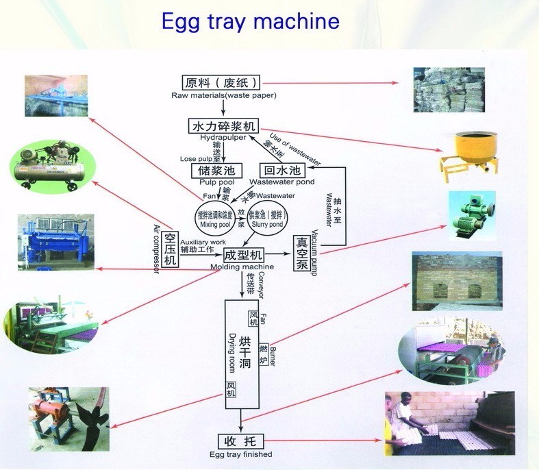 Medium Capacity Rotary Egg Tray Making Machine Price