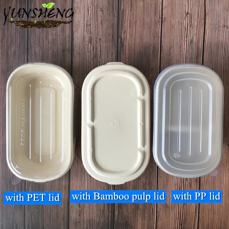 Disposable to Go Food Paper Box with Two Compartments for Salad or Fast Food Bamboo or Wheat Straw Pulp Paper Boxes
