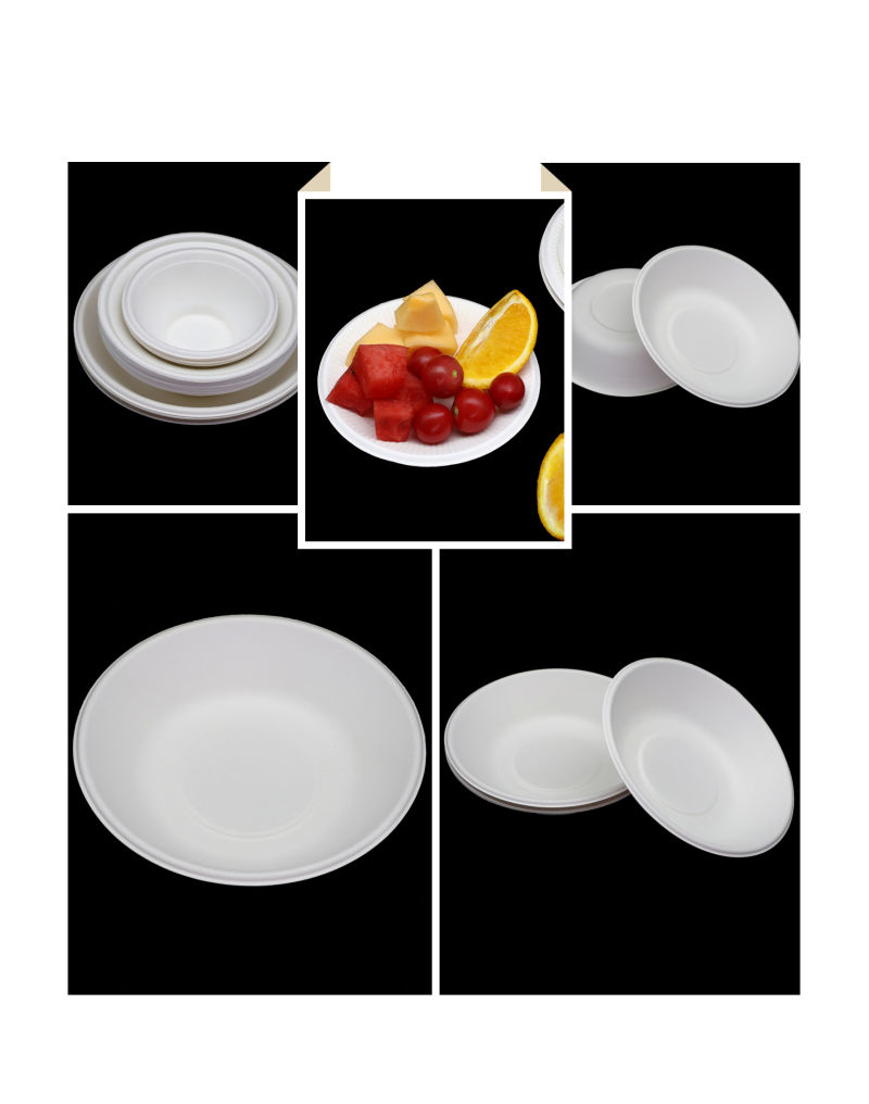 Sugarcane Plate Disposable Biodegradable Sugarcane Bagasse Plates