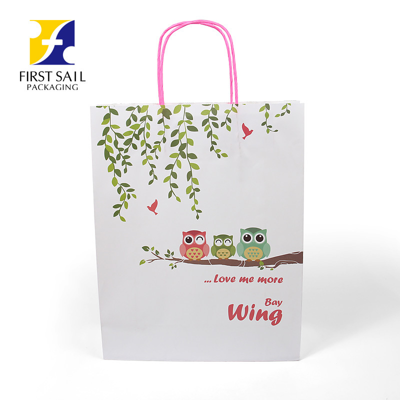 OEM ODM Paper Bag Supplier Custom Logo E-Co Friendly Paper Bags
