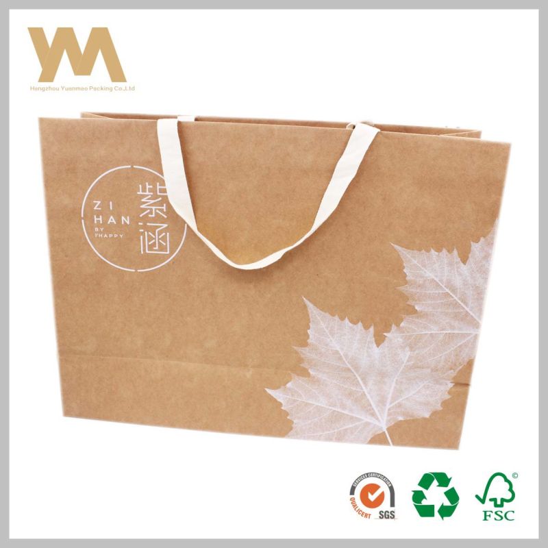 Manufacturing Professional Custom Paper Bag/Shopping Bag/Gift Bag