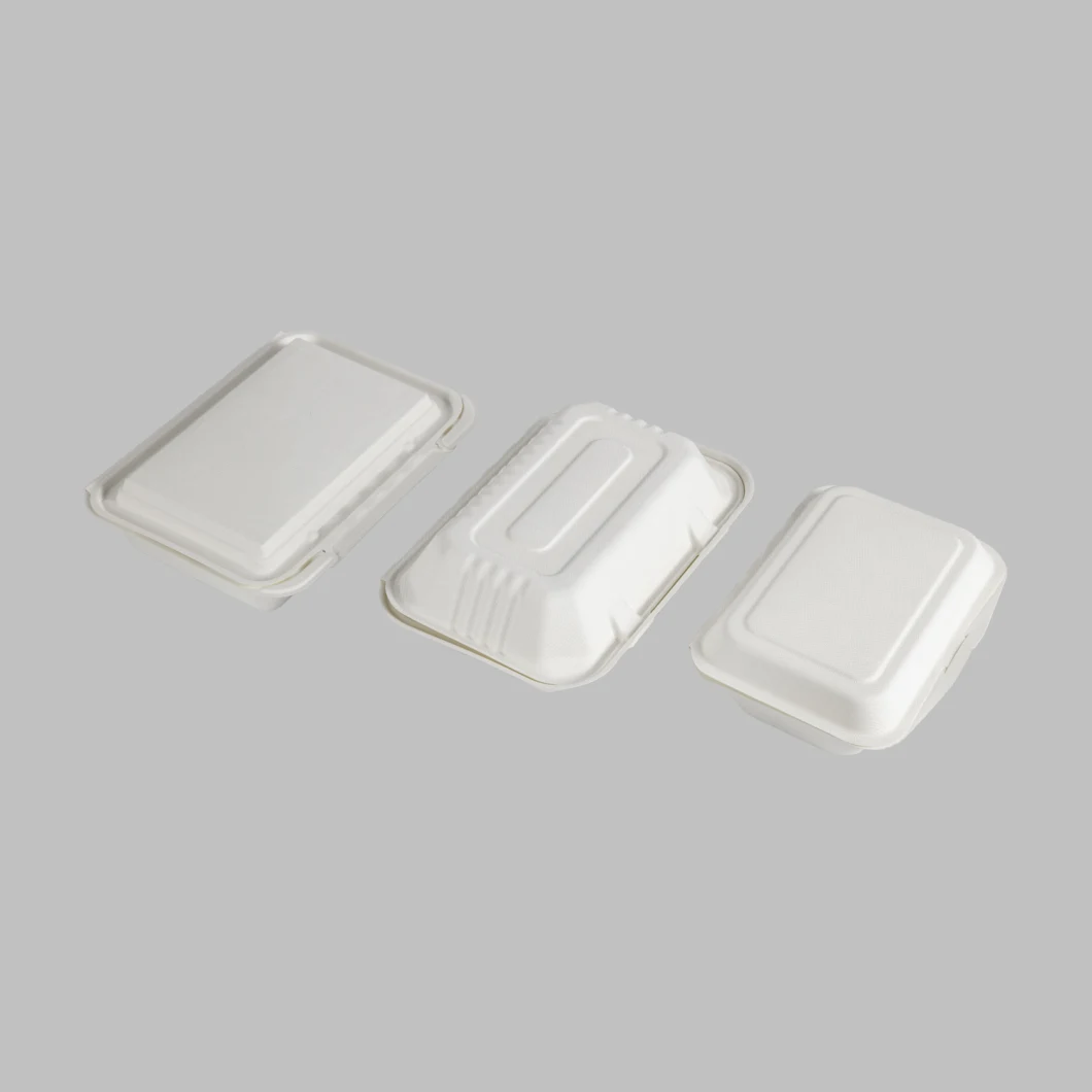 600ml Biodegradable Disposable Food Container Sugarcane Bagasse Packing Box Eco Friendly Tableware Take Away Container