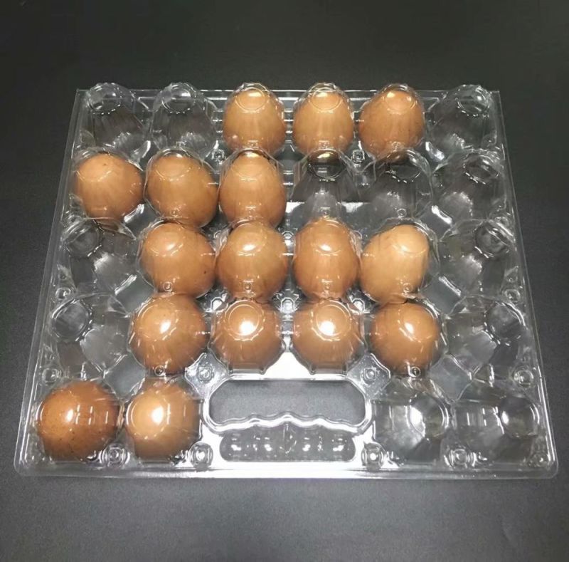 Blister Clear Plastic 28 Holes Chicken Egg Tray with Handle